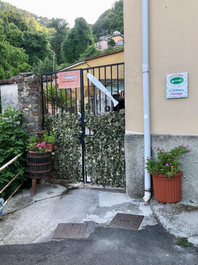 Guest house L'acciuga *