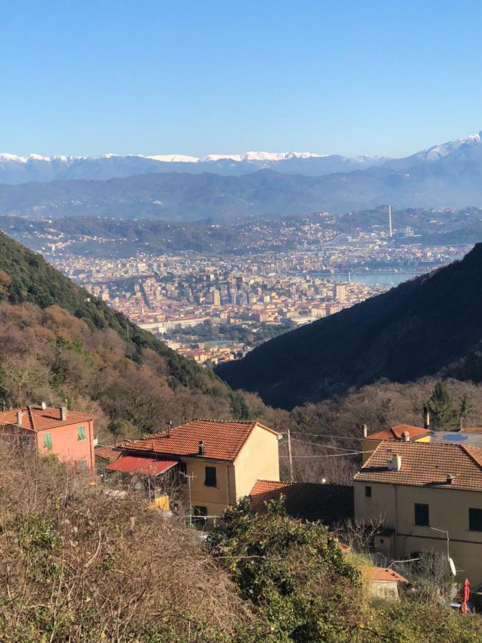 L'acciuga